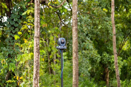 Tropical forest camera mounted on pole among trees and dense green foliage, capturing remote wildlife habitat with outdoor monitoring equipment and natural woodland texture