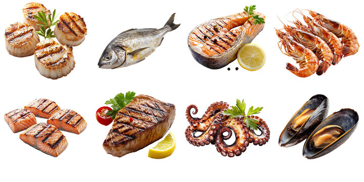 Set of various cooked seafood: shrimp, scallops, salmon, squid, tuna, and mussels, isolated on a transparent background PNG