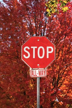 stop sign on the road