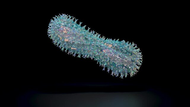 Rotation of bacillus bacteria on black background. 3d animation loop