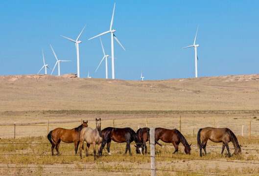 Wind farm in Northern Colorado