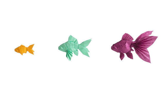 Colorful Origami Fish, featuring paper, arts and crafts, yellow, green, purple, marine life, decoration, folding, creativity, handmade, three fish, aquatic