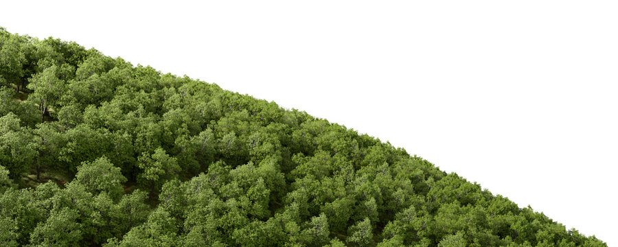 Green mountain forested hillside cutout transparent background 3d illustration png