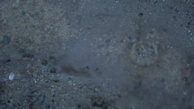 Raindrops falling into a shallow puddle over sand and pebbles