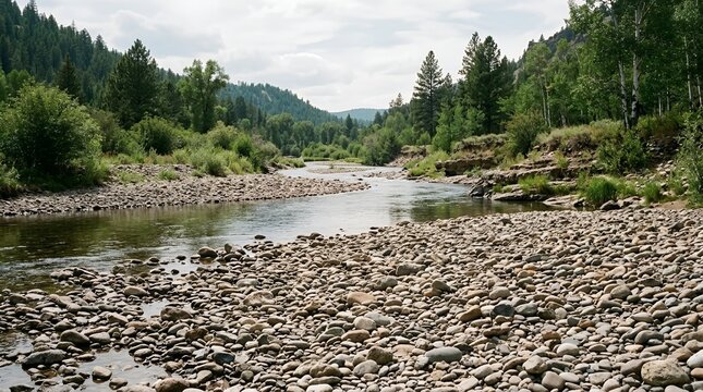 Panoramic Scenic Mountain River Landscape with Pebble Riverbed and Lush Green Pine Forest under Bright Summer Sky