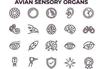 Fototapeta premium Educational avian sensory organs icon set featuring eye, ear, brain, feather, and magnifying glass symbols for scientific or biological presentations on white background
