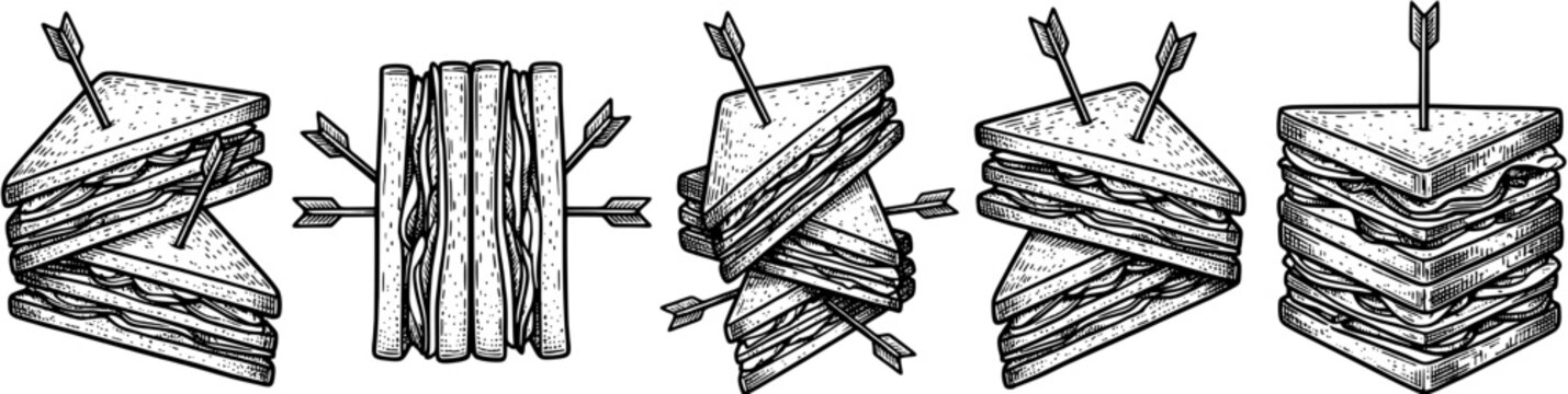 Club sandwich vector illustration set in engraved outline style featuring layered bread, poultry, cheese and toothpicks with arrows.