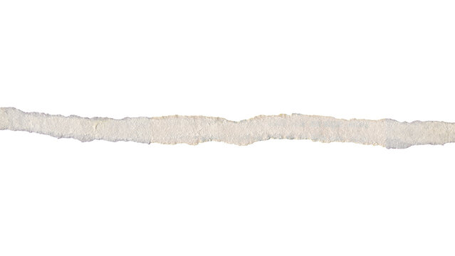 Thin horizontal white torn paper strip divider, Isolated on a transparent background