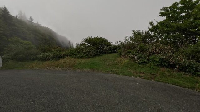 Fog rolling over a grassy mountain slope beside a road edge