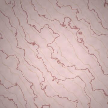 Polished marble texture in rose marble