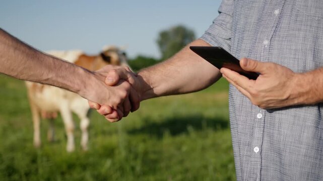 Two farmers shaking hands in green field with cow in background during sunny day.