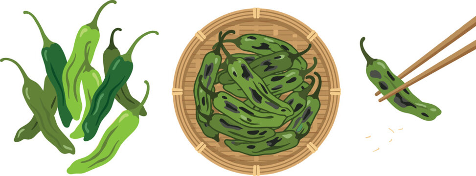Shishito pepper vector illustration set featuring fresh green capsicum bunch a bamboo basket full of grilled peppers and chopsticks holding one isolated on white background