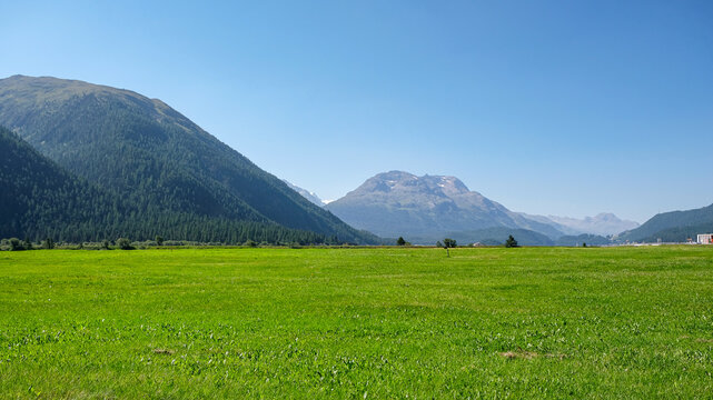 Scenic alpine valley with green meadow and copy space in Oberengadin, Switzerland