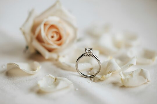 Anillo de compromiso de plata con diamante rodeado de p&eacute;talos de rosa blanca y una rosa sobre un fondo claro