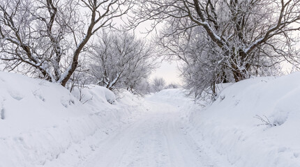 Fototapeta premium Wintery scene featuring a snow covered dirt path winding through icy trees and thick snow piles under a cloudy sky
