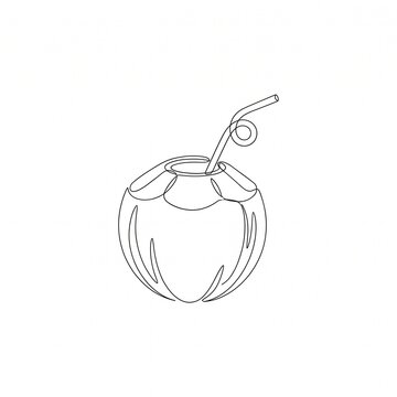 vector illustration of a coconut 