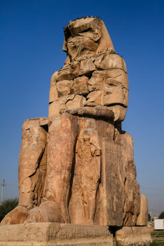 Monumental stone statue of the Colossus of Memnon of Amenhotep III in Luxor Egypt