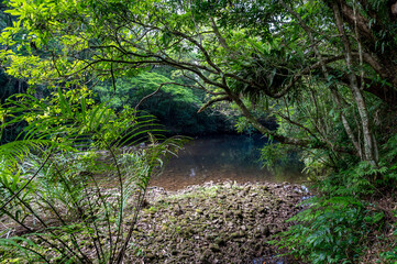 Obraz premium Relax scene by the riverside of Hubaotan Scenic Area, in New Taipei City, Taiwan.