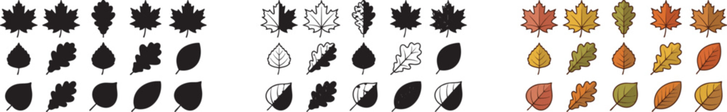 Autumn tree leaves set in silhouette line art and color vector design