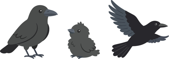 Obraz premium Three cute black crow birds in different poses including standing and flying.