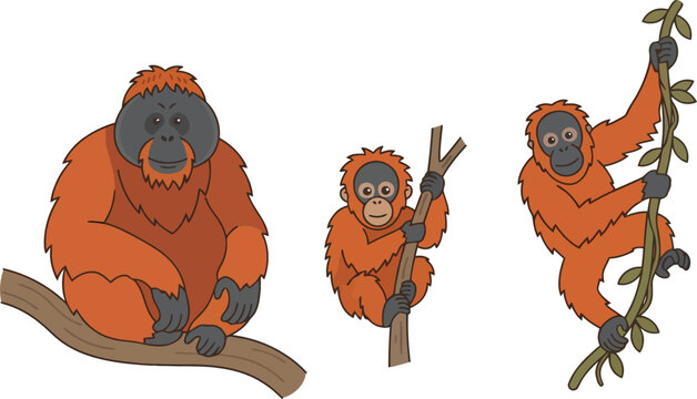 A collection of three cartoon orangutans in various poses on branches and vines.