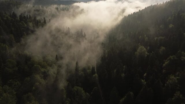 Aerial View of Winding Road Through Misty Carpathian Mountain Forest at Sunset - Transylvania, Predeal, Romania