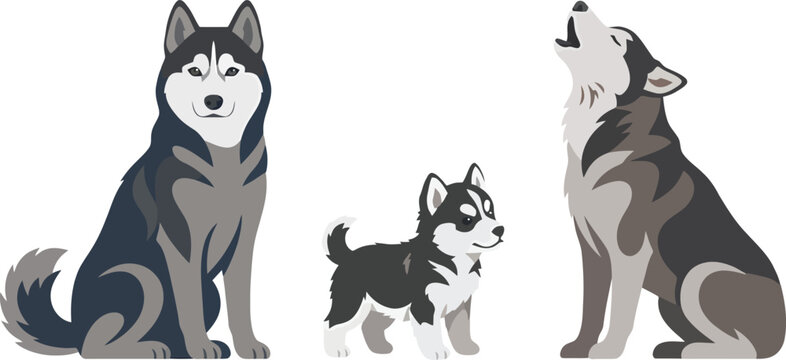 A set of three illustrated Siberian husky dogs in different poses.