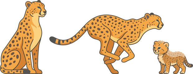 Obraz premium A family of cheetahs including an adult sitting one running and a small cub.