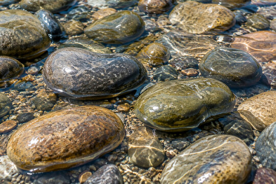 Smooth kidney-shaped river stones resting in clear water, natural rounded forms with wet glistening surfaces under soft daylight.