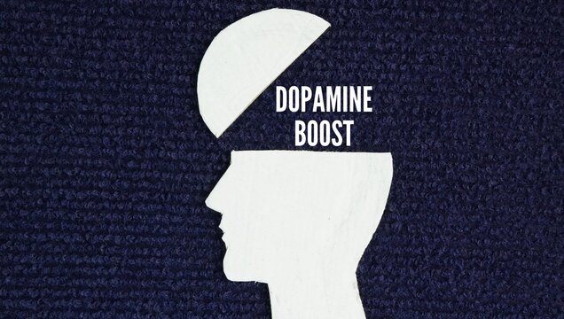 The shape of a human head with the words dopamine boost is a temporary increase in dopamine, a chemical messenger in the brain that controls pleasure, motivation, and reward
