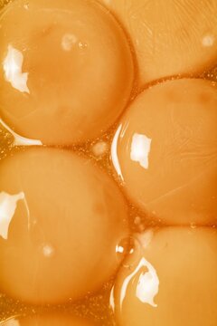 Closeup of raw egg yolks in translucent orange liquid