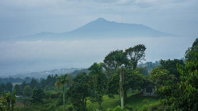 Java. Countryside Landscape with big Volcano