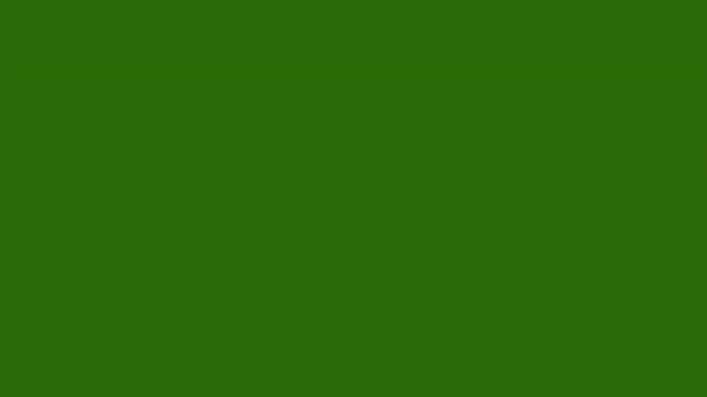 Graphic user interface elements featuring colorful toggle switches moving on green backdrop.