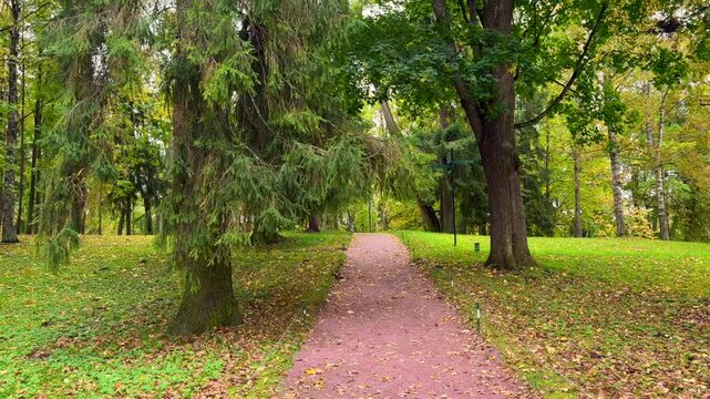 Leaf covered walking path winding through mature trees and green park lawn with autumn foliage in peaceful landscaped outdoor garden setting