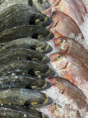 Fresh assorted whole fish displayed on crushed ice at a seafood market. Close-up of chilled sea fish with silver, dark and pink scales, showcasing freshness and variety. © piece_ov_art