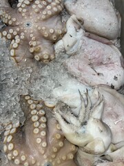 Fresh octopus and squid displayed on crushed ice at a seafood market, showcasing raw Mediterranean seafood and fresh catch ready for sale. © piece_ov_art