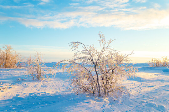 View of the snow-covered tundra. Winter Arctic landscape on a sunny day.