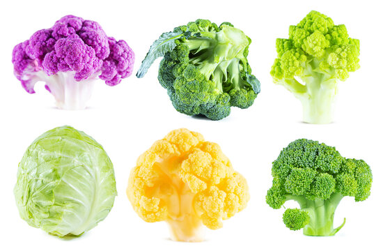 Different types of cabbage isolated on white background. Image collection.