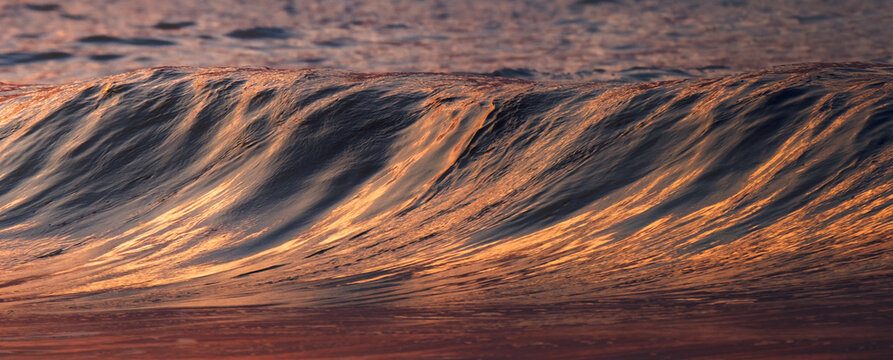 Golden Sunset Light Reflecting on a Rolling Ocean Wave