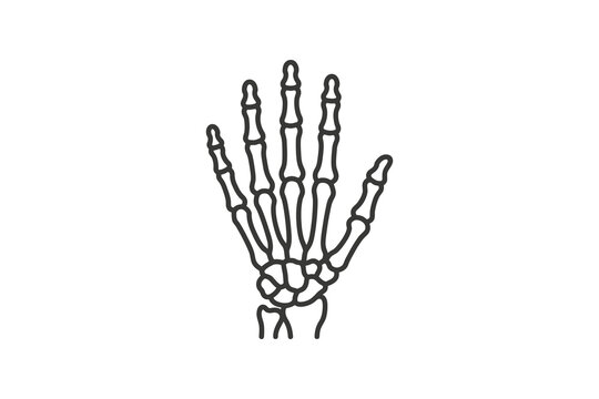 Human Hand Skeleton Minimalist Vector Illustration