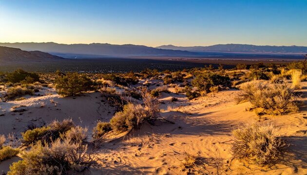 Sunlight Filters Across Golden Desert Dunes with Distant Mountain Range Under Clear Sky