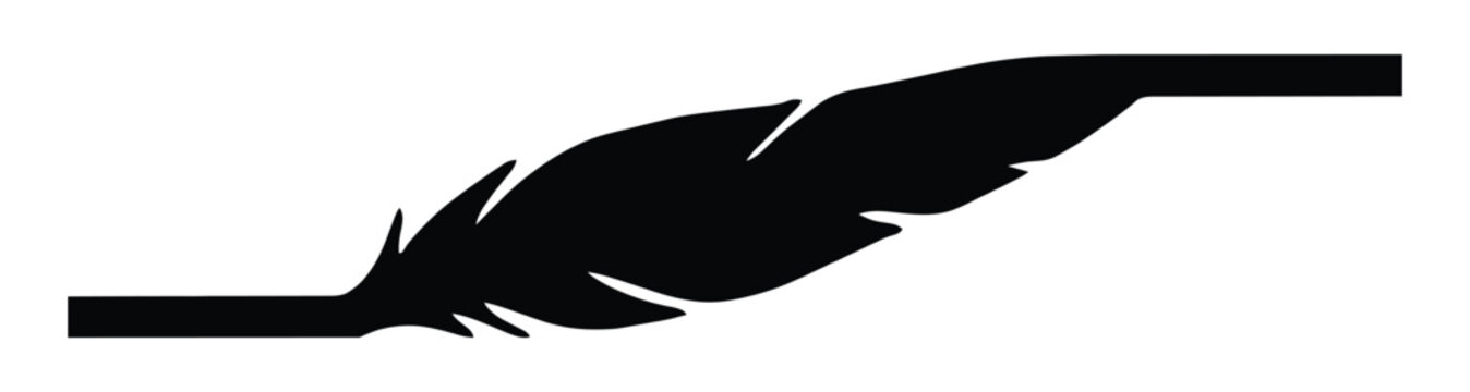 Feather divider with split vane and a straight quill bar