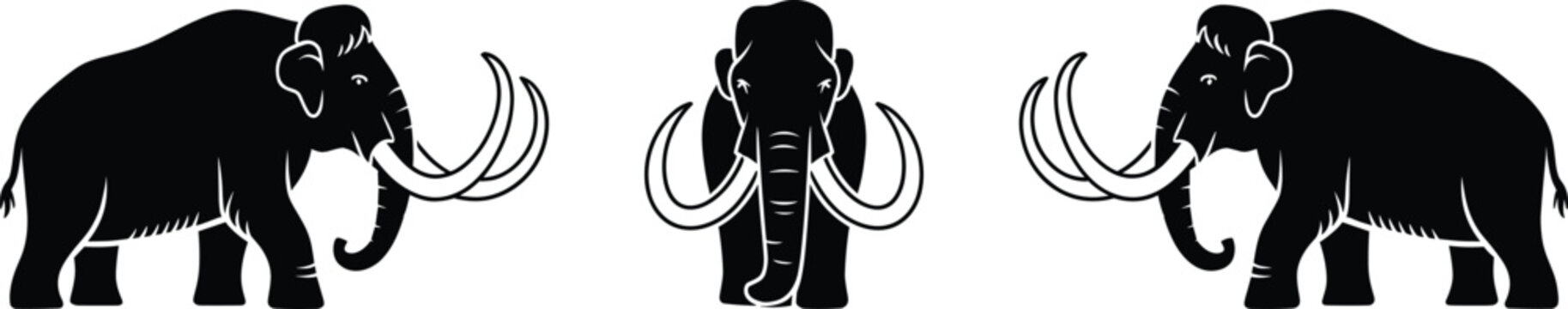 Three black and white silhouettes of woolly mammoths, showing side profiles and a front-facing view of the prehistoric mammal with large curved tusks