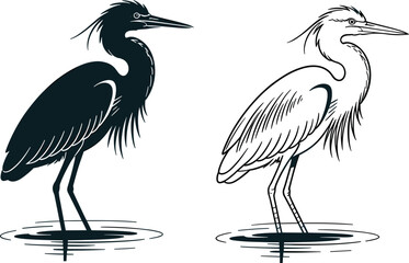 Fototapeta premium Two of a standing heron, one solid black silhouette and one detailed line outline, isolated on a white background