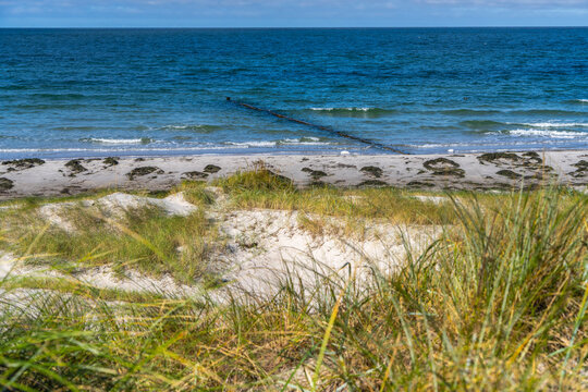Landschaft mit Sandd&uuml;nen und D&uuml;nengras auf der Insel Hiddensee, Ostsee,  R&uuml;gen, Mecklenburg-Vorpommern, Deutschland