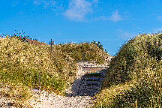 Landschaft mit Sandd&uuml;nen und D&uuml;nengras auf der Insel Hiddensee, Ostsee,  R&uuml;gen, Mecklenburg-Vorpommern, Deutschland