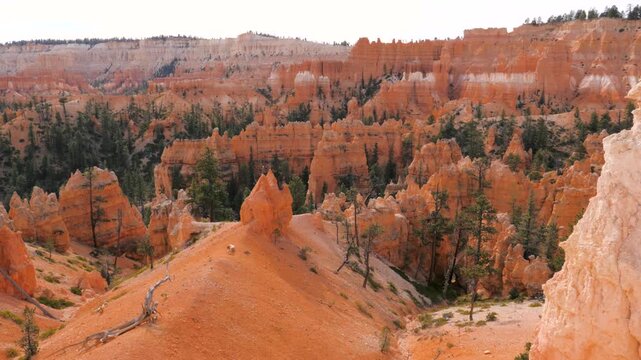 Slowly movement over iconic orange hoodoos and green pine trees of bryce canyon national park, revealing vast and stunning geological formations of rock amphitheater. Pov side view of rocks buttes