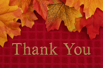 Fall leaves with a Thank You greeting card for your autumn message © Karen Roach