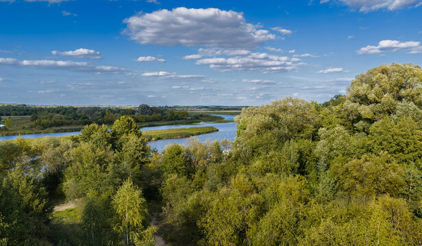 Wild bank of the Bug River. Mazovia, Poland.