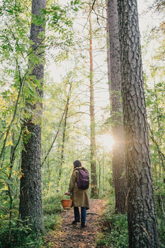 Woman walking along a sunlit forest trail with backpack and wicker basket, enjoying mushroom foraging, nature exploration, hiking and a peaceful escape from city life.